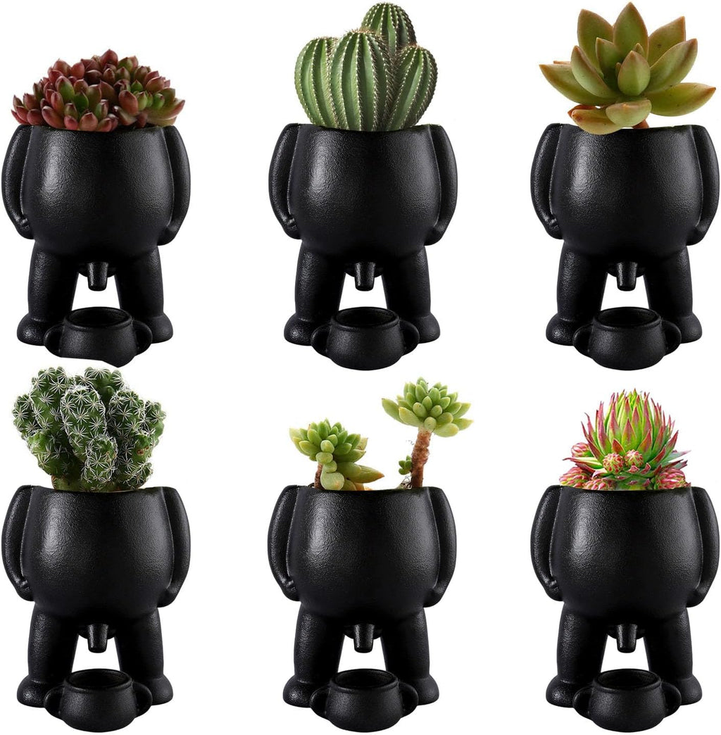 Cheeky Peeing Man Ceramic Planter with Catch Tray – Novelty Succulent Pot with Drainage