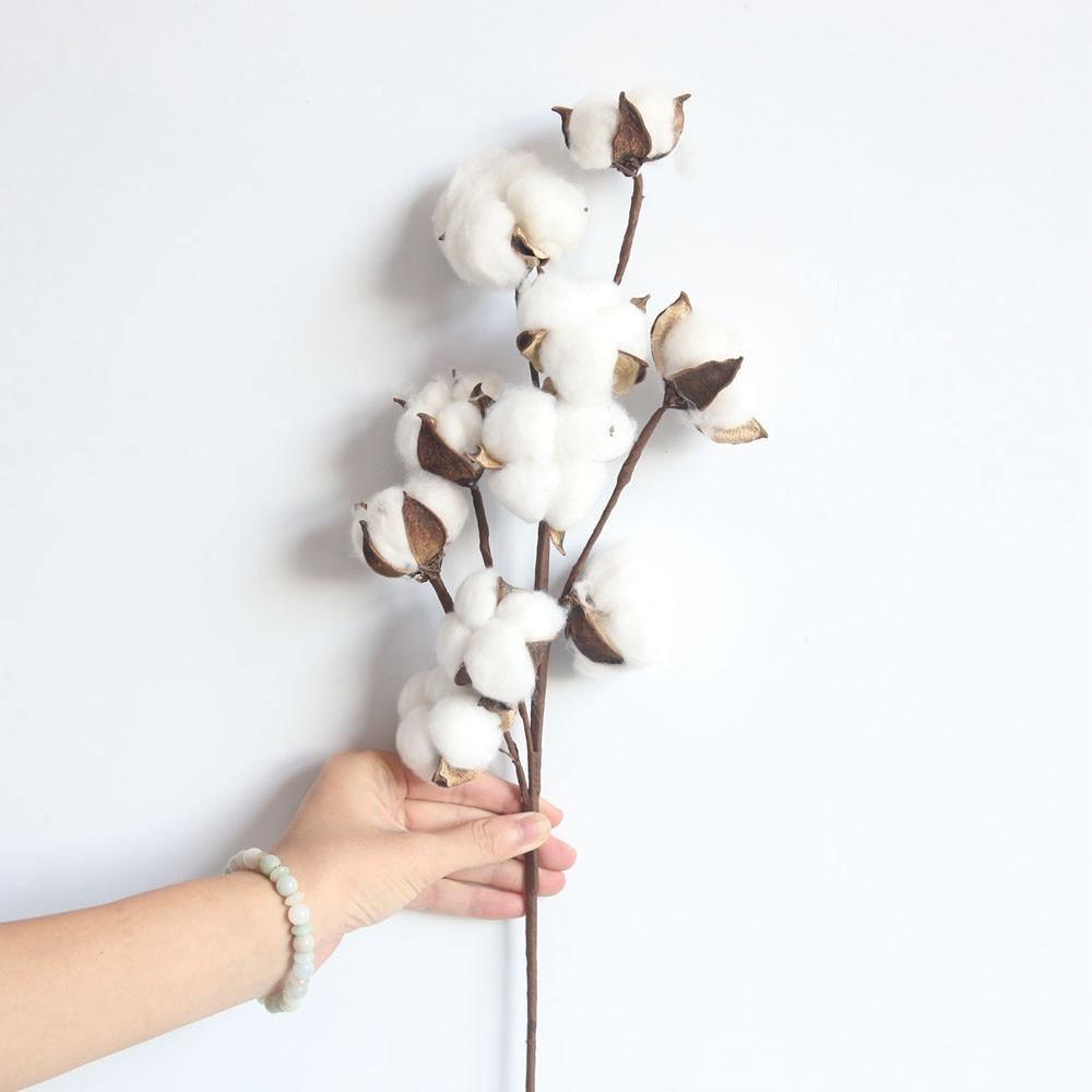 Dried Natural Cotton Branch Sprays 21 Inch – Farmhouse Floral Stems with 10 Cotton Bolls