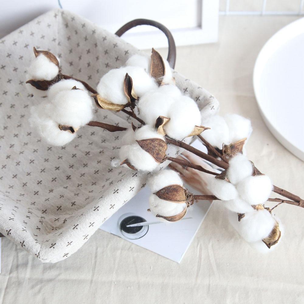 Dried Natural Cotton Branch Sprays 21 Inch – Farmhouse Floral Stems with 10 Cotton Bolls