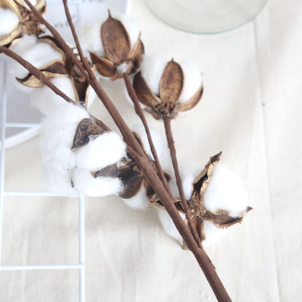 Dried Natural Cotton Branch Sprays 21 Inch – Farmhouse Floral Stems with 10 Cotton Bolls