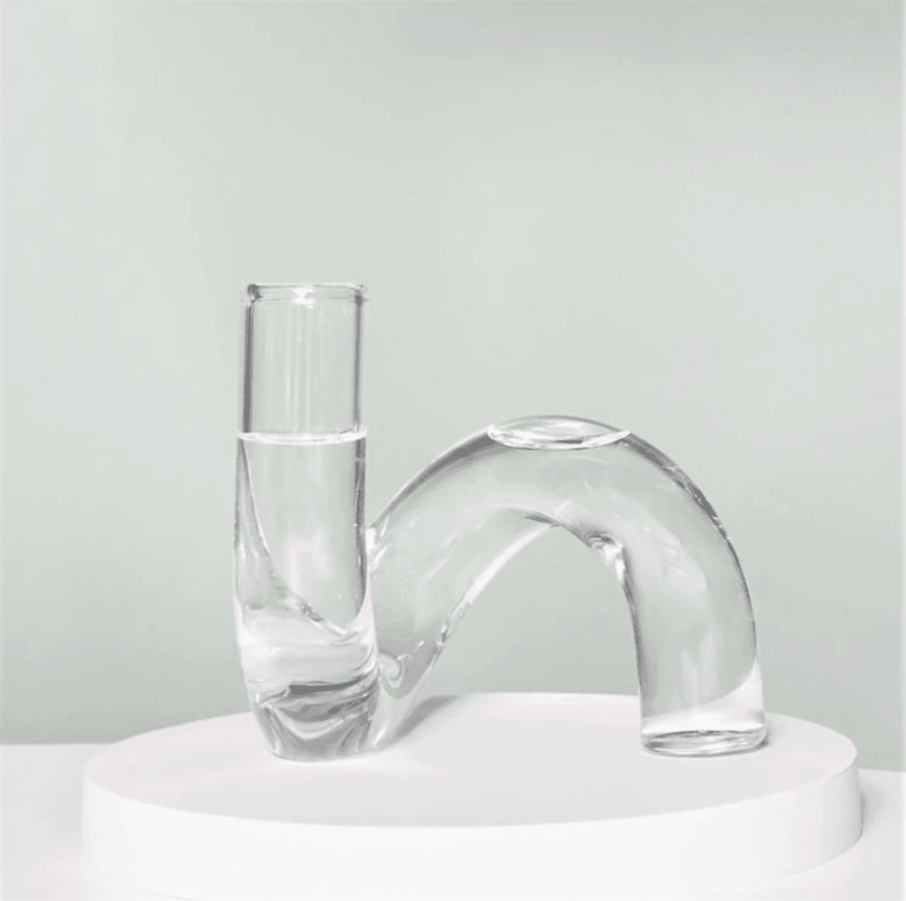Hydroponic Loop Glass Vase – Blown Borosilicate Tabletop Display in Brown or Gray