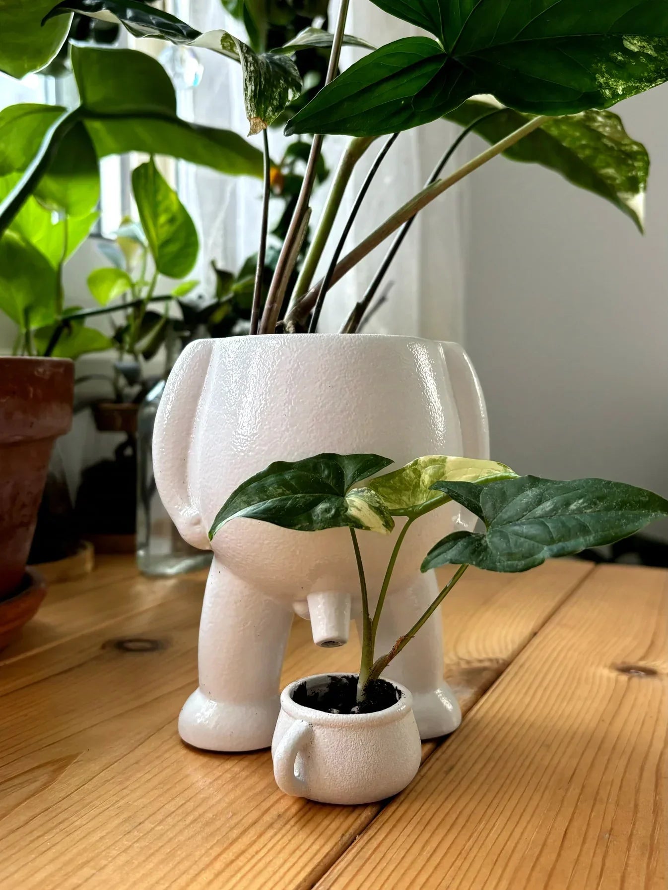 Cheeky Peeing Man Ceramic Planter with Catch Tray – Novelty Succulent Pot with Drainage