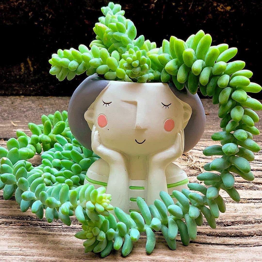 Adorable Face Planter Pot with Drainage – Resin Succulent & Herb Desktop Holder