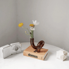 Hydroponic Loop Glass Vase – Blown Borosilicate Tabletop Display in Brown or Gray