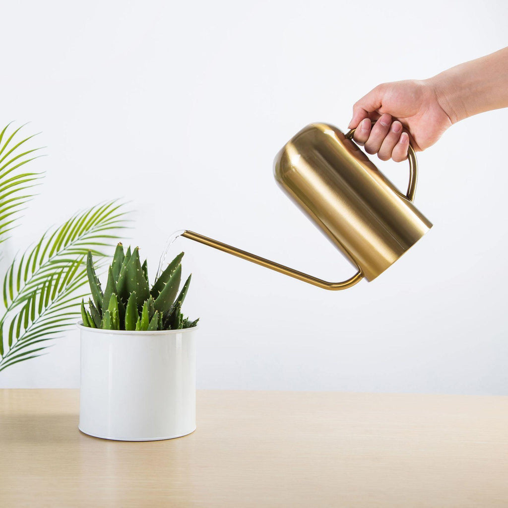 Sleek Stainless Steel Watering Can 1.5L – Modern Plant Care in Three Finishes