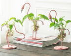 Tropical Flamingo Plant Propagation Station – Metal & Glass Hydroponic Bulb Vase